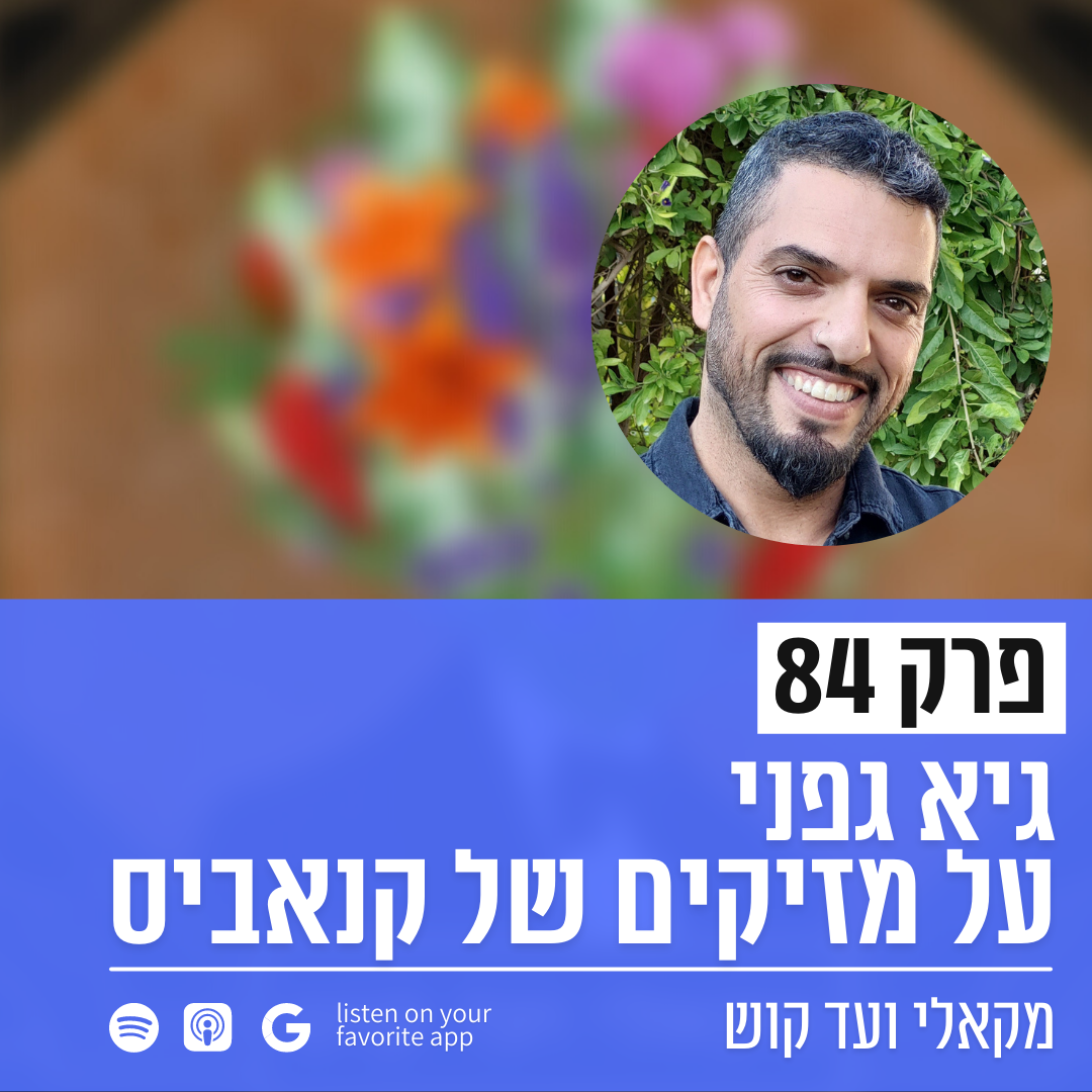 מקאלי ועד קוש