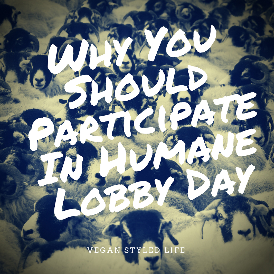 Why You Should Participate In Humane Lobby Day