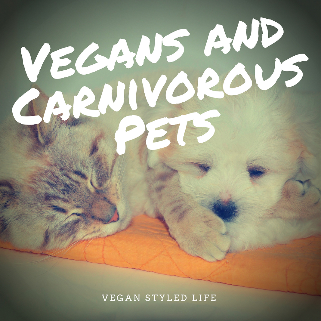 Vegans and Carnivorous Pets