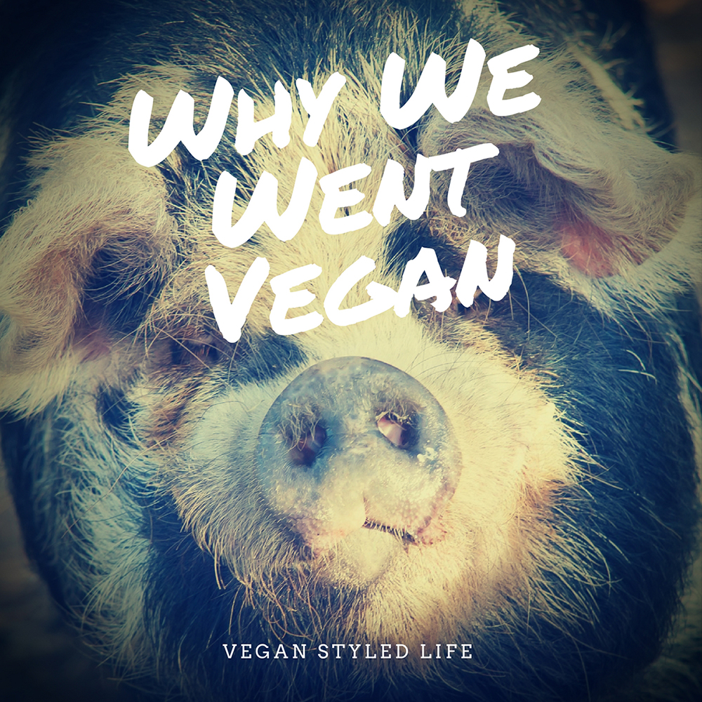Why We Went Vegan
