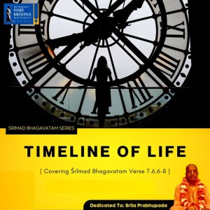 TIMELINE OF LIFE (SB 7.6.6-8) | HG SREESHA GOVIND DAS