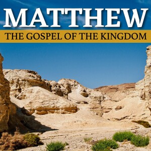 A Right View of Divine Healing & Following Jesus | Matthew 8:14-22