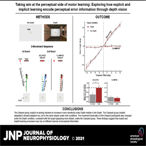 Taking aim at the perceptual side of motor learning: Exploring how explicit and implicit learning encode perceptual error information through depth vision