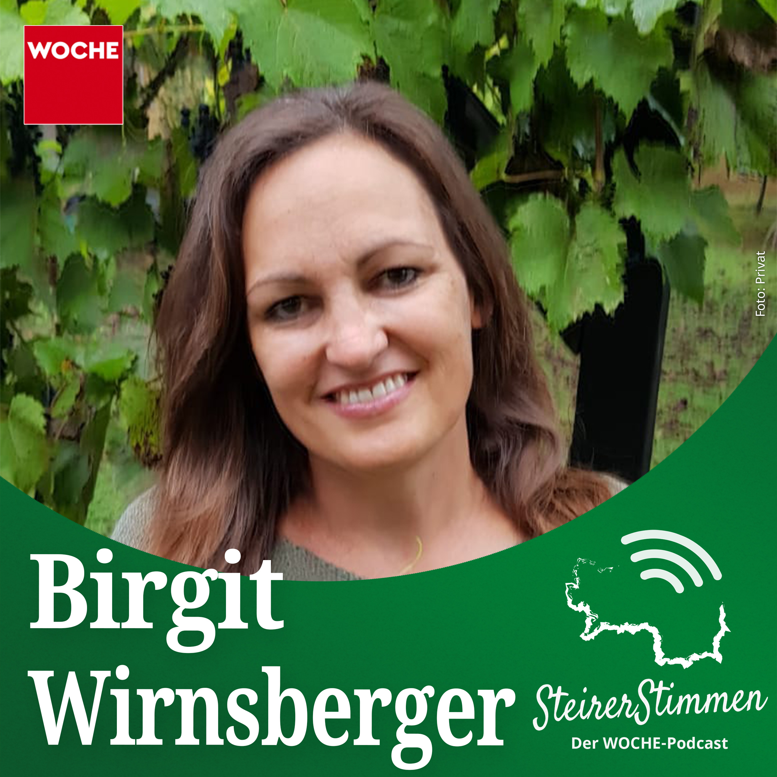 SteirerStimmen
