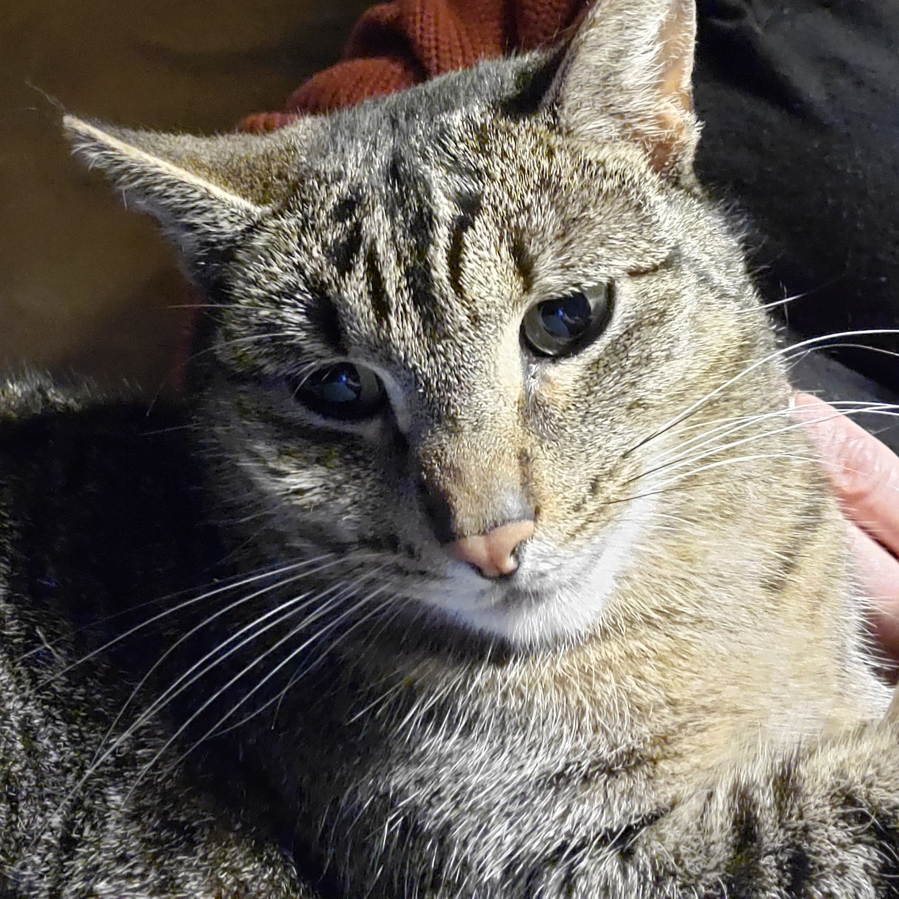 Navigating low self-esteem