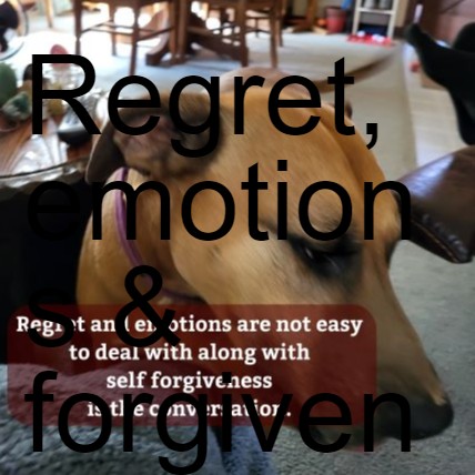 Regret, emotions & forgiveness on Life Clarifications with Natasha