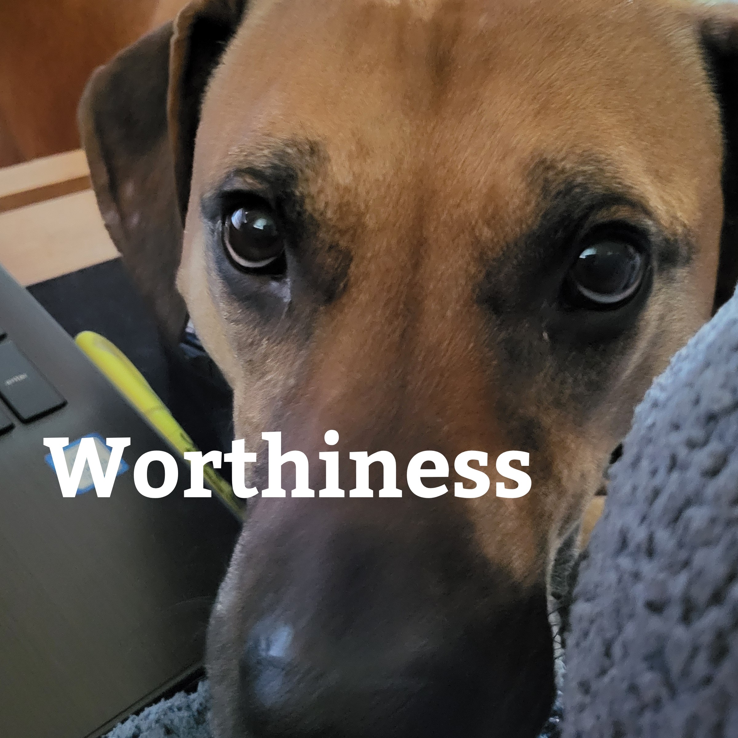 Find Your Worthiness on Life Clarifications.com