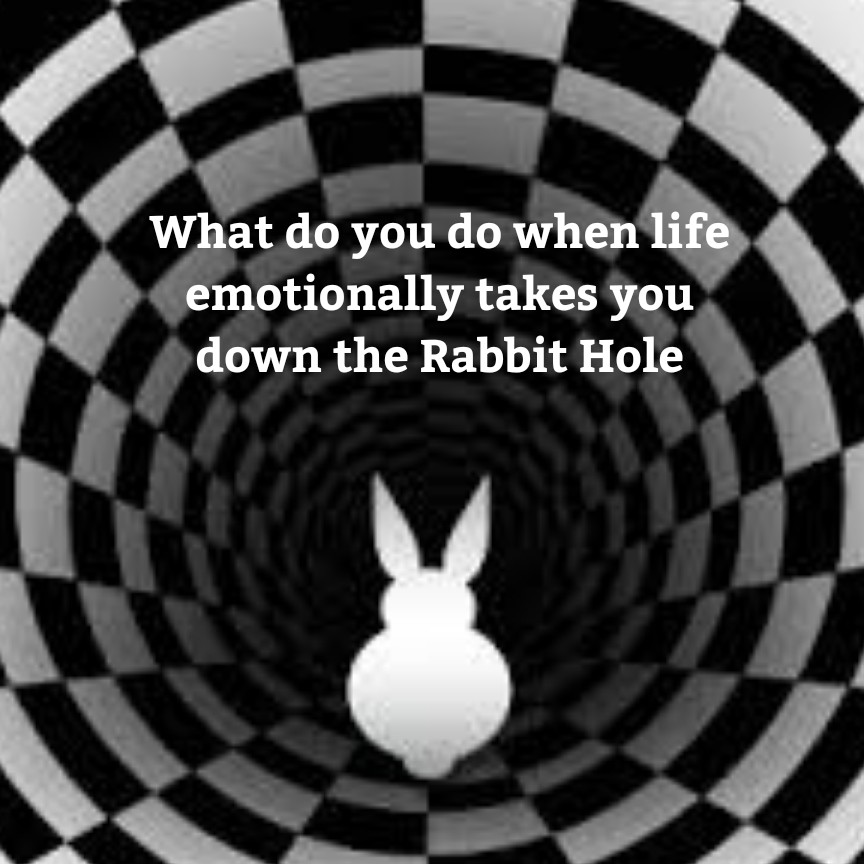 How to Negotiate the metaphorical rabbit hole of life.