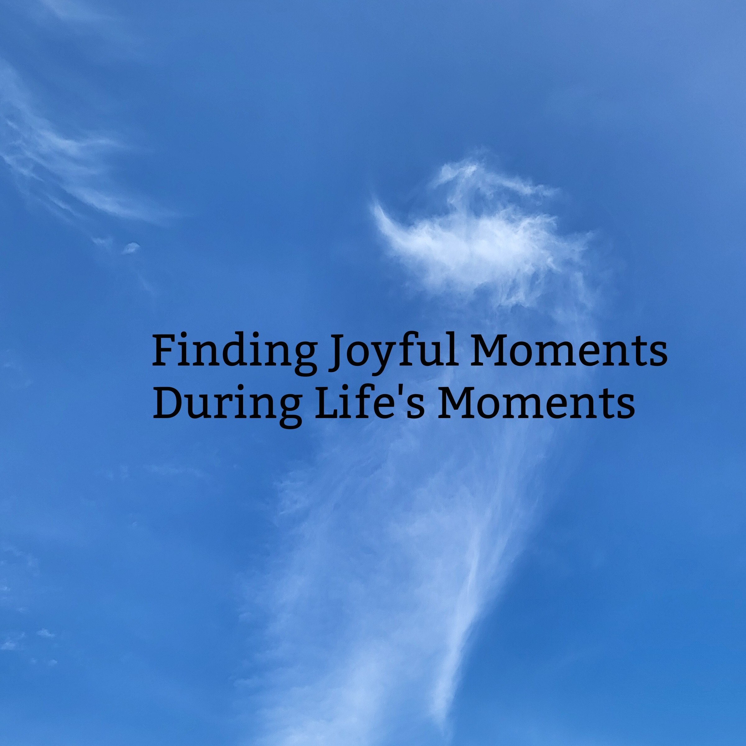 Finding Joyful Moments During Life's Moments.