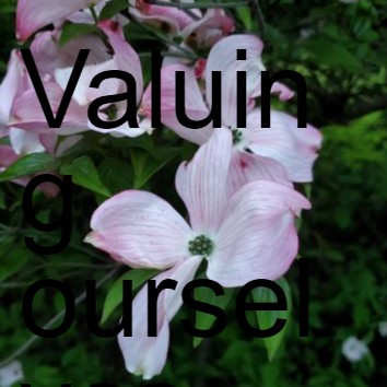 Valuing ourselves and life