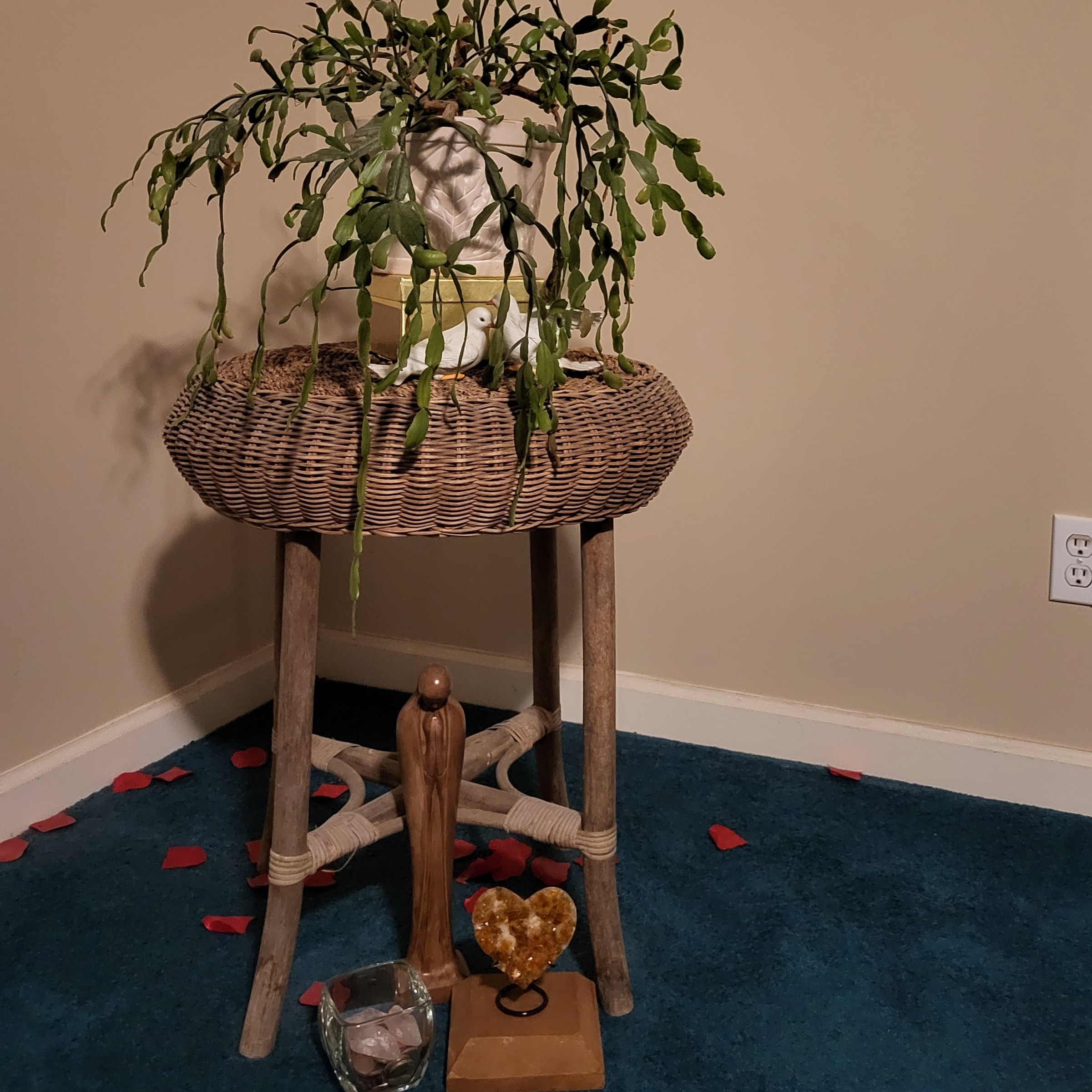 Chinese New Year &_Fungi Shui on Life Clarifications w_ Natasha