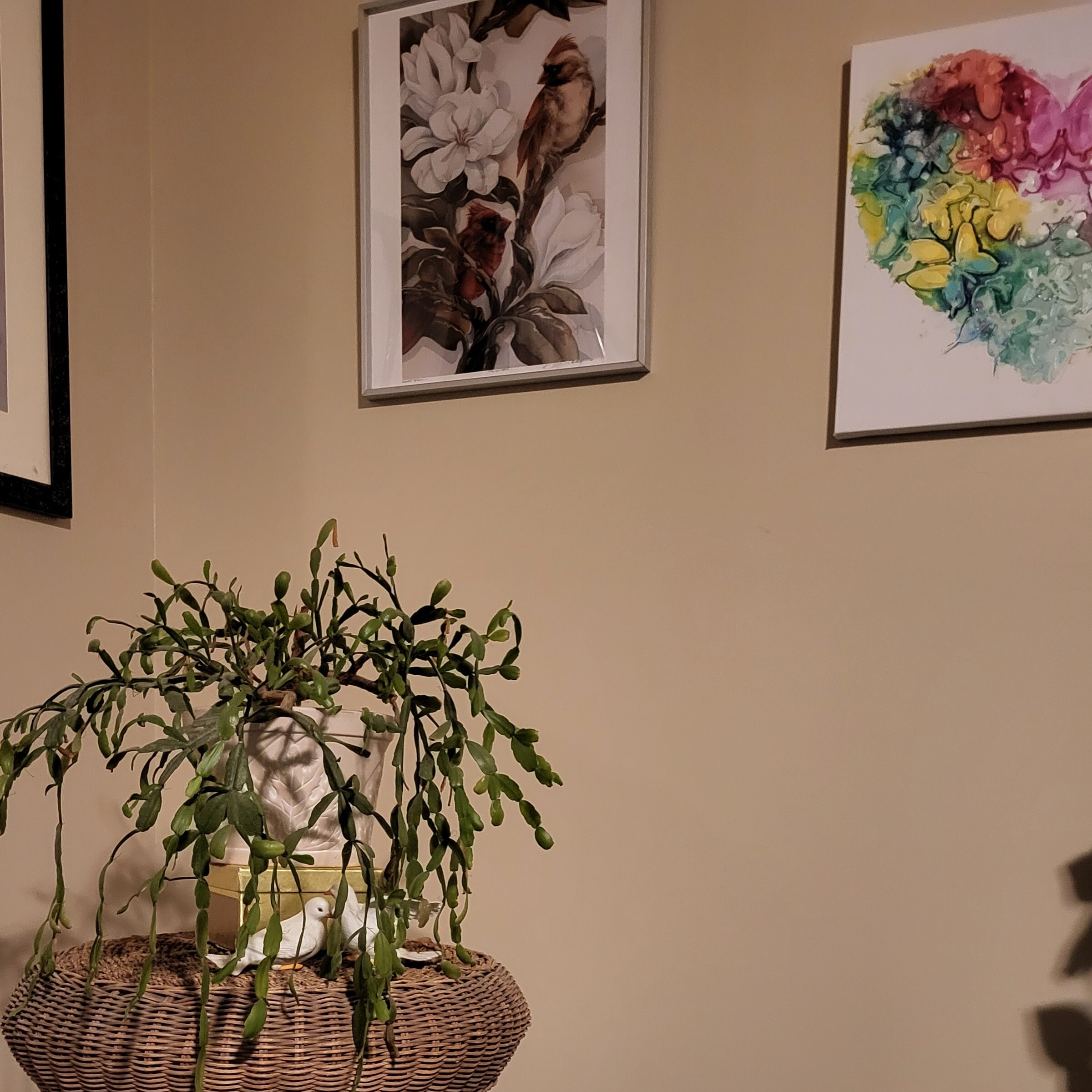 Update of wed. 1/18 Life Clarifications with Natasha