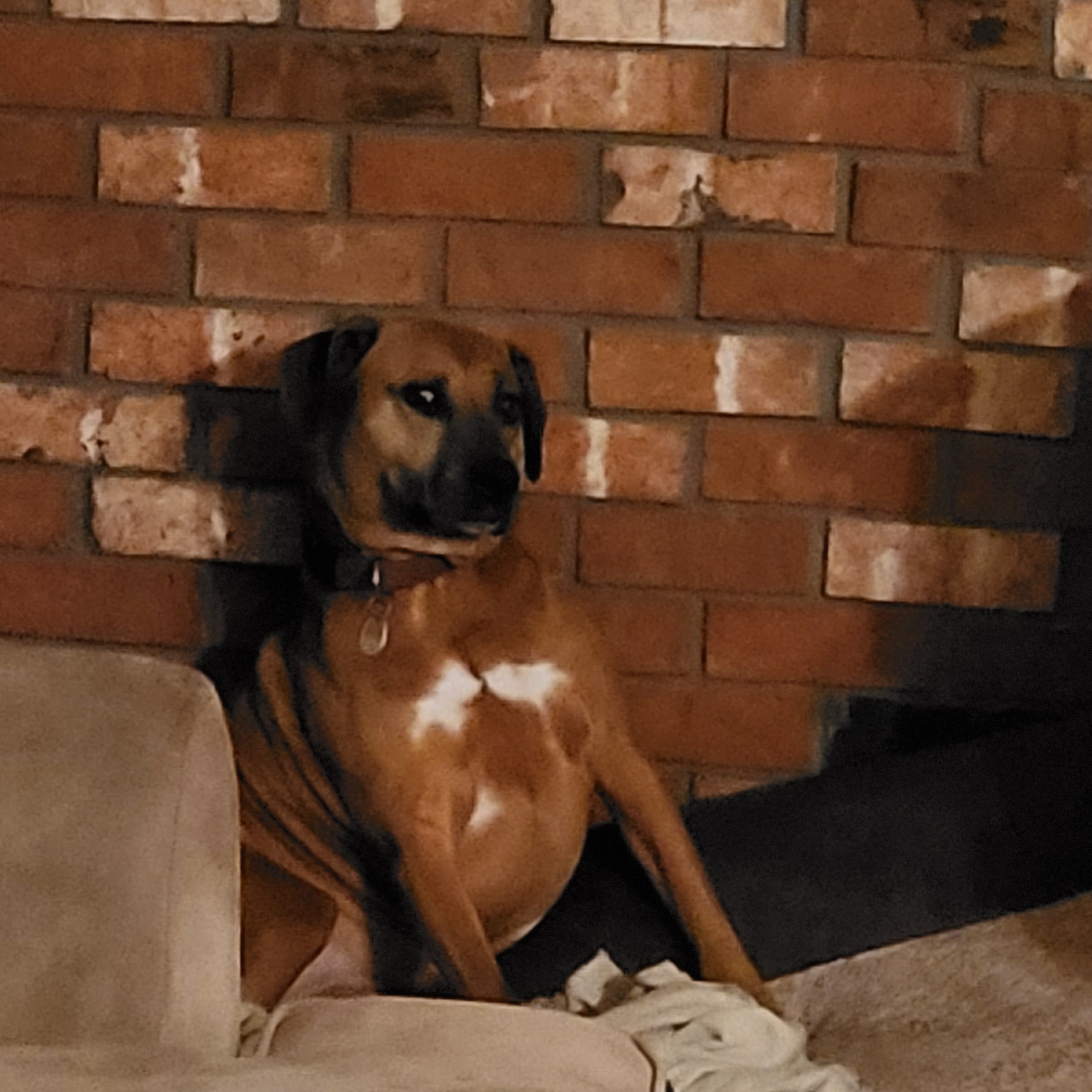 Why does life happen & how to rise about it on The Dance of the Soul