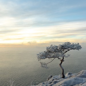 Resilience. What is it? Why do I want it? How do I get it?