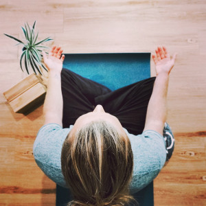 Mindfulness Meditation As Mental Training To Learn Emotional Regulation
