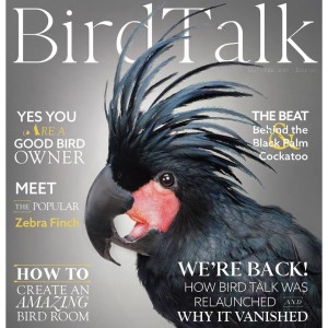 Bird Talk Magazine Returns! Part One Live Interview