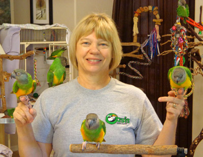 Ginger's Parrot Rescue-partone.1st20min.segment