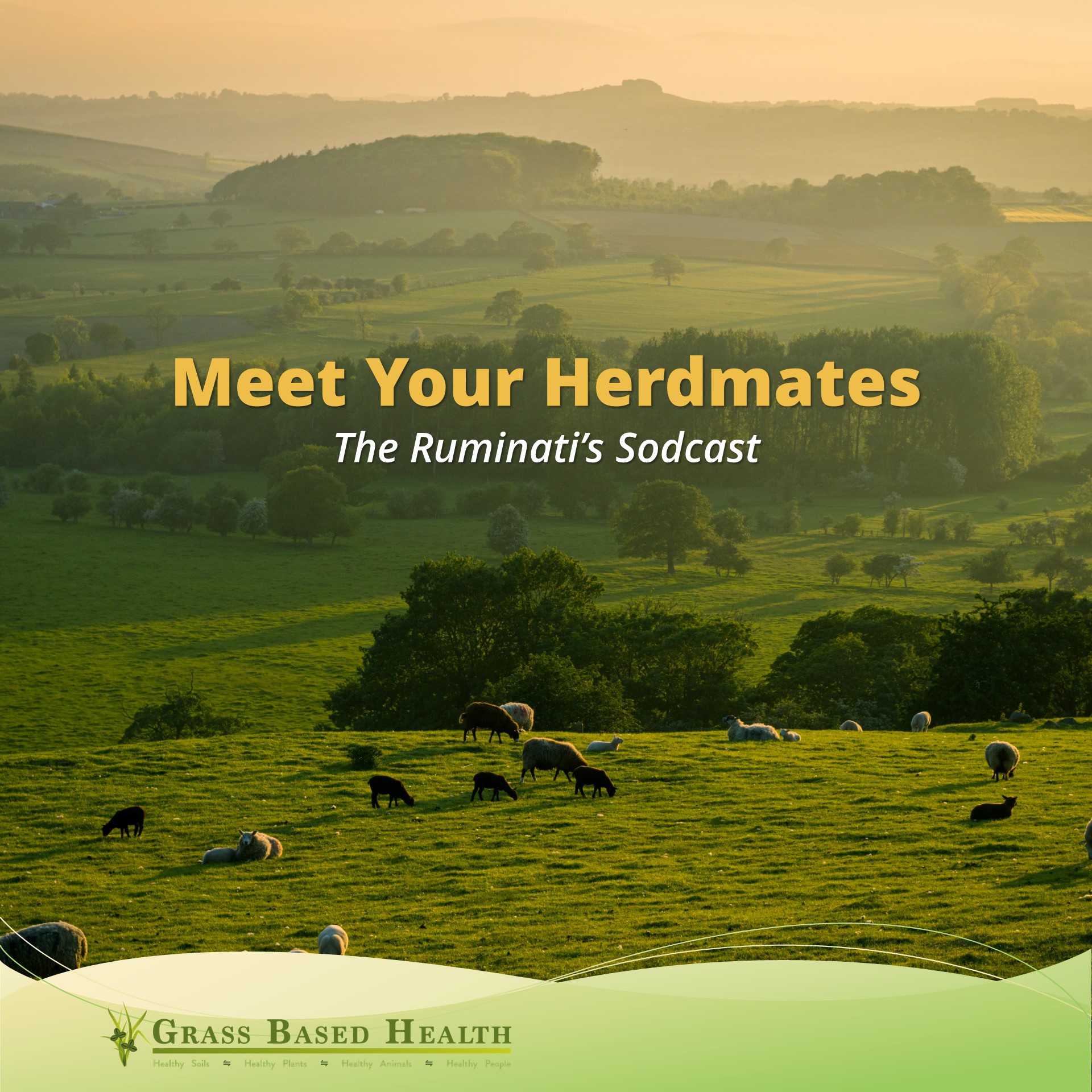 The Meet Your Herdmates Sodcast