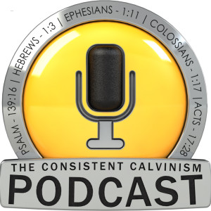 Provisionism with Tyler Vela from Freed Thinker Podcast