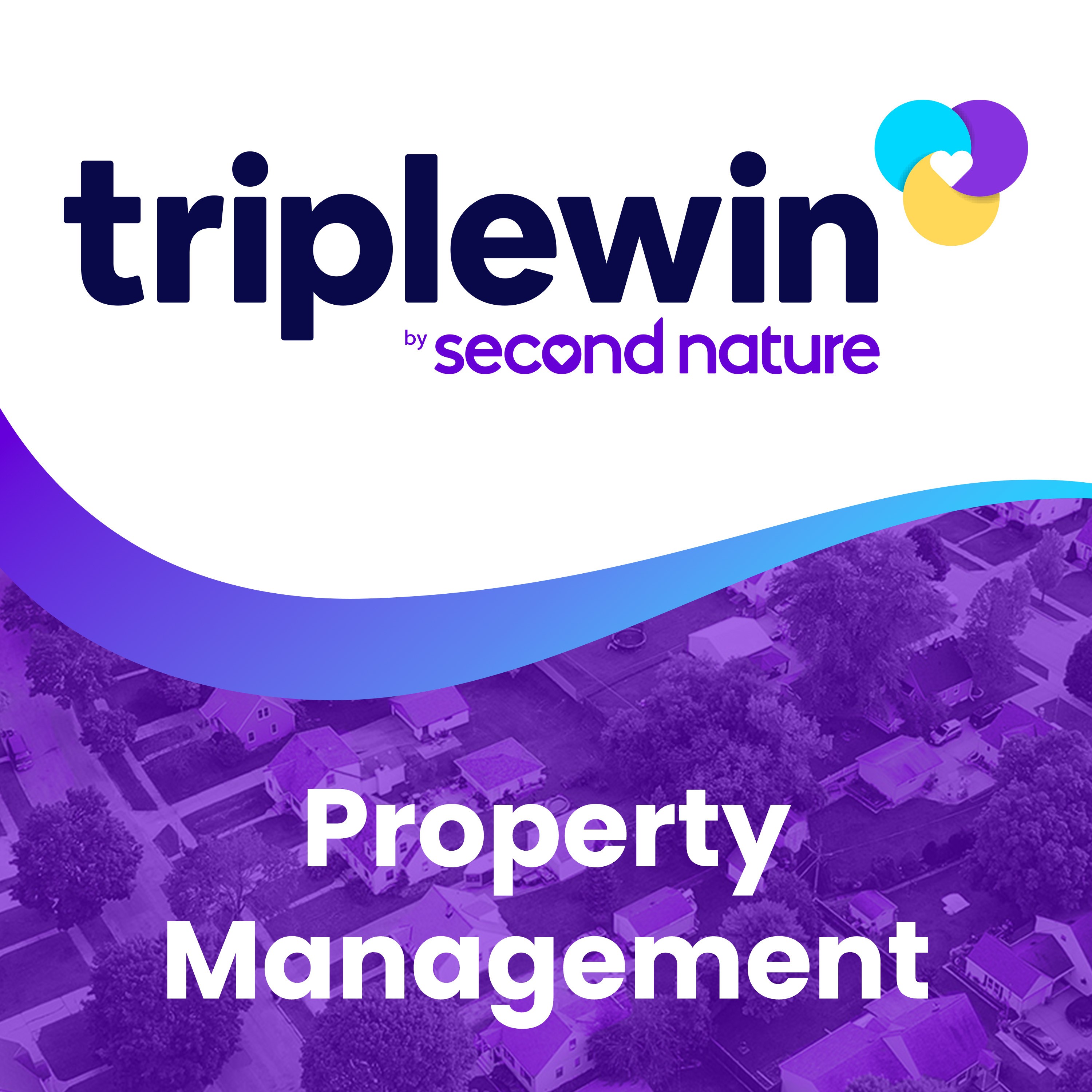 Applying The Vivid Vision with Peter Lohmann Triple Win Property