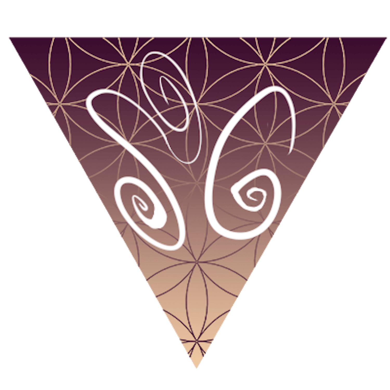 Daily Habits With Suzanne Goldston