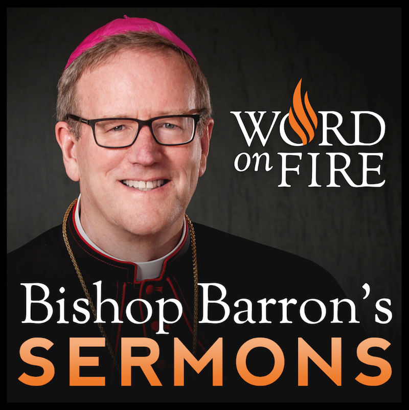 Bishop Robert Barron’s Sermons