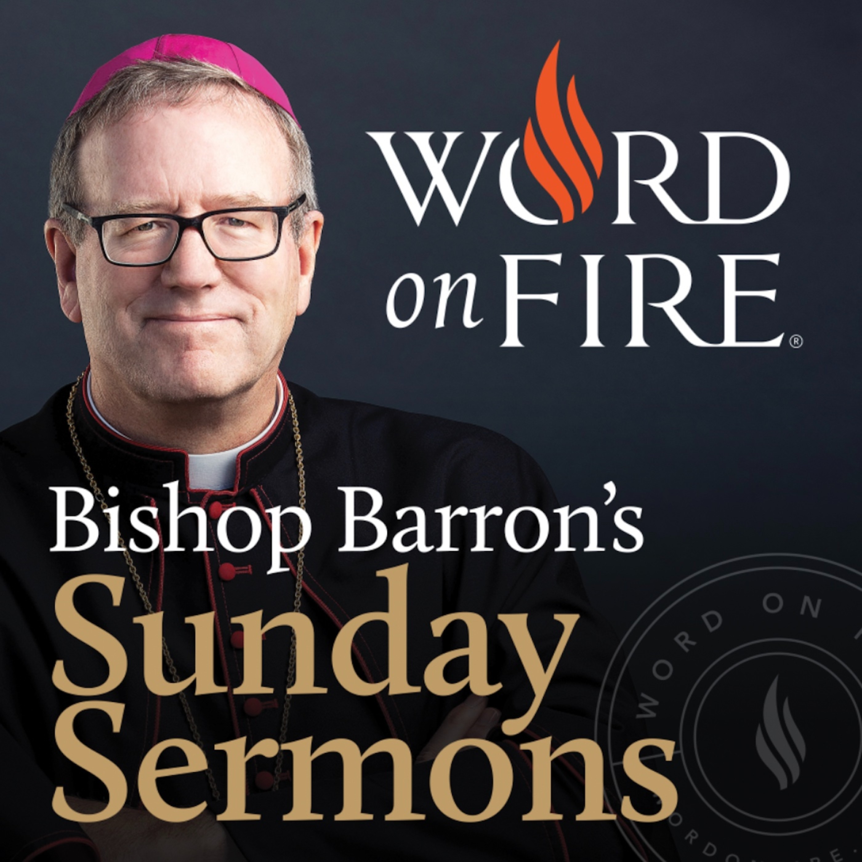 The Reality Of Life After Death Bishop Barron s Sunday Sermons 