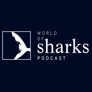 How can art help shark conservation? With Rachel Brooks