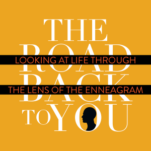 Dealing With Your Need to Perform: A conversation with Darren Whitehead - Enneagram 3 (The Performer) - Episode 13