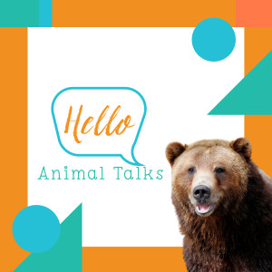 Hello Animal Talks Patrick Ramage