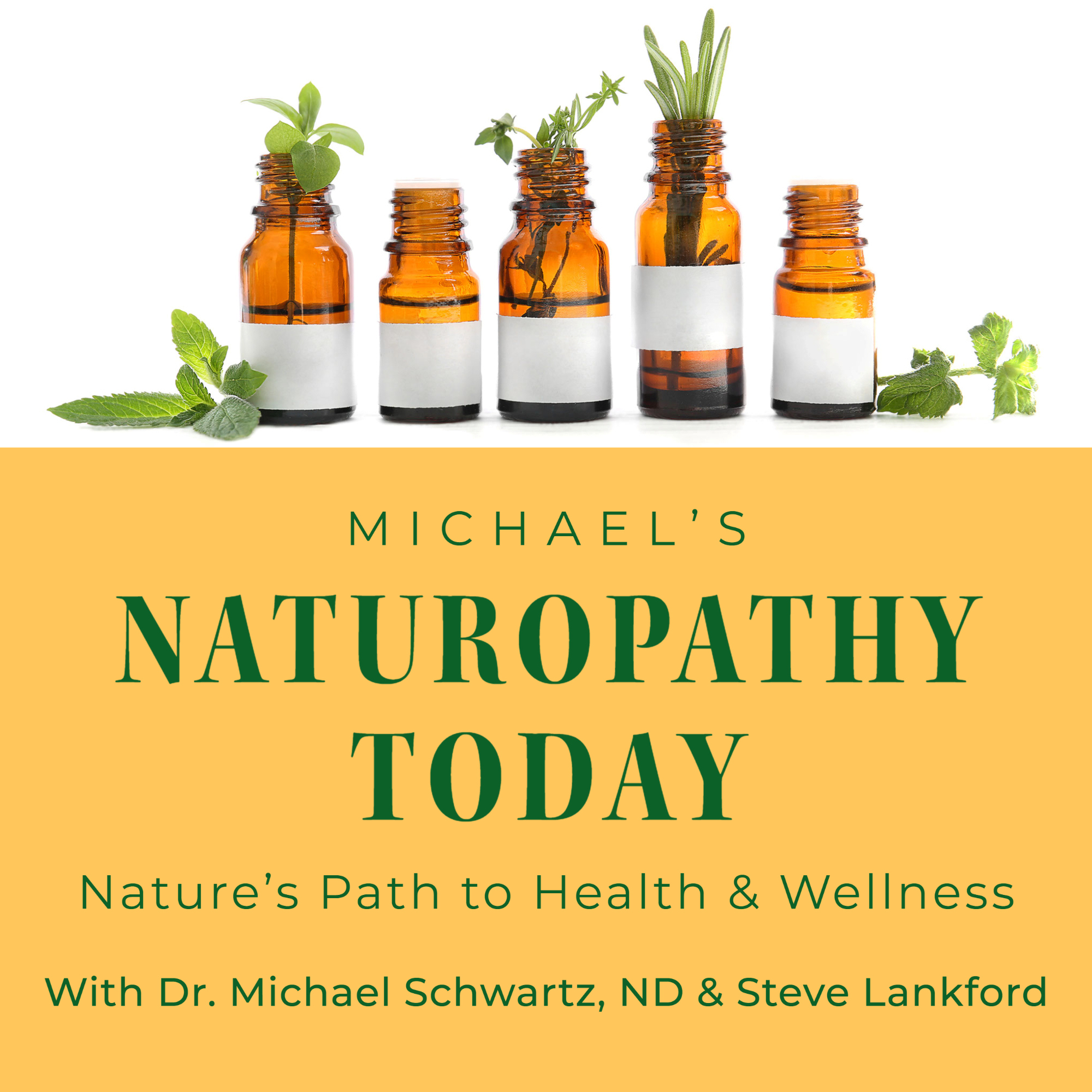 E:23 Alzheimer’s Disease – Nutrients That Help | Michael’s Naturopathy ...