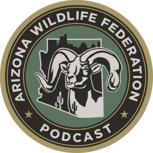 AWF Podcast