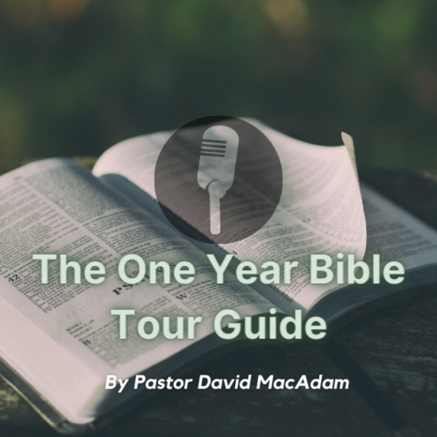 December 7, 2022 The One Year Bible Tour Guide by
