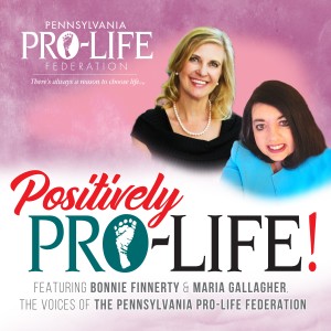 Positively Pro-Life--The Jewish Case for Life