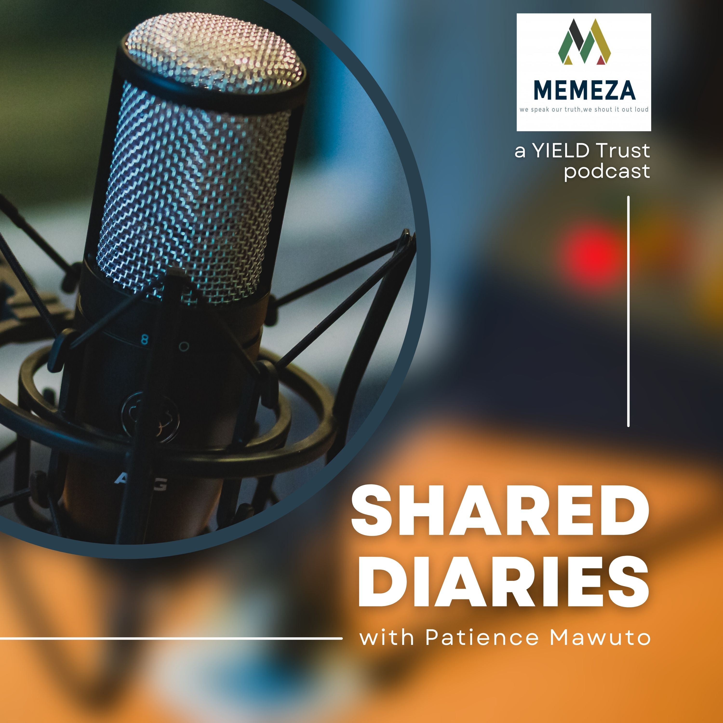 Shared Diaries Podcast with Patience Mawuto podcast artwork
