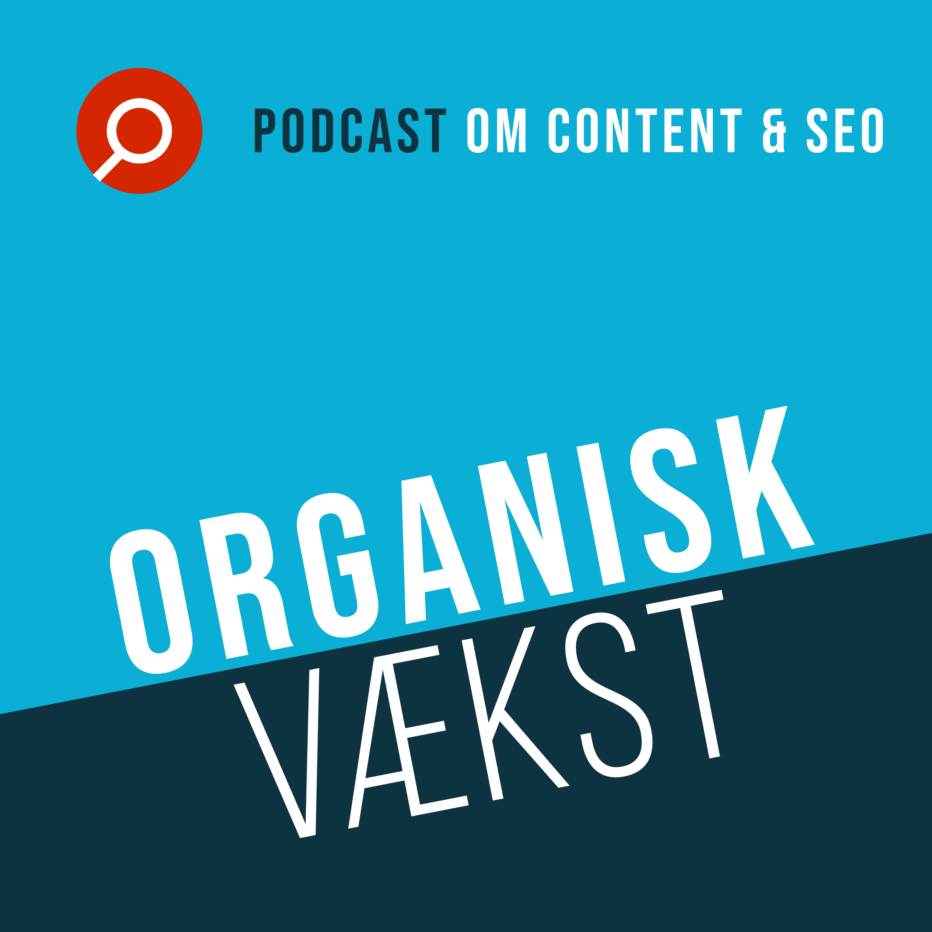 Search Company - SEO Podcast af Jonathan Bräuner Delfs
