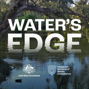 Water’s Edge