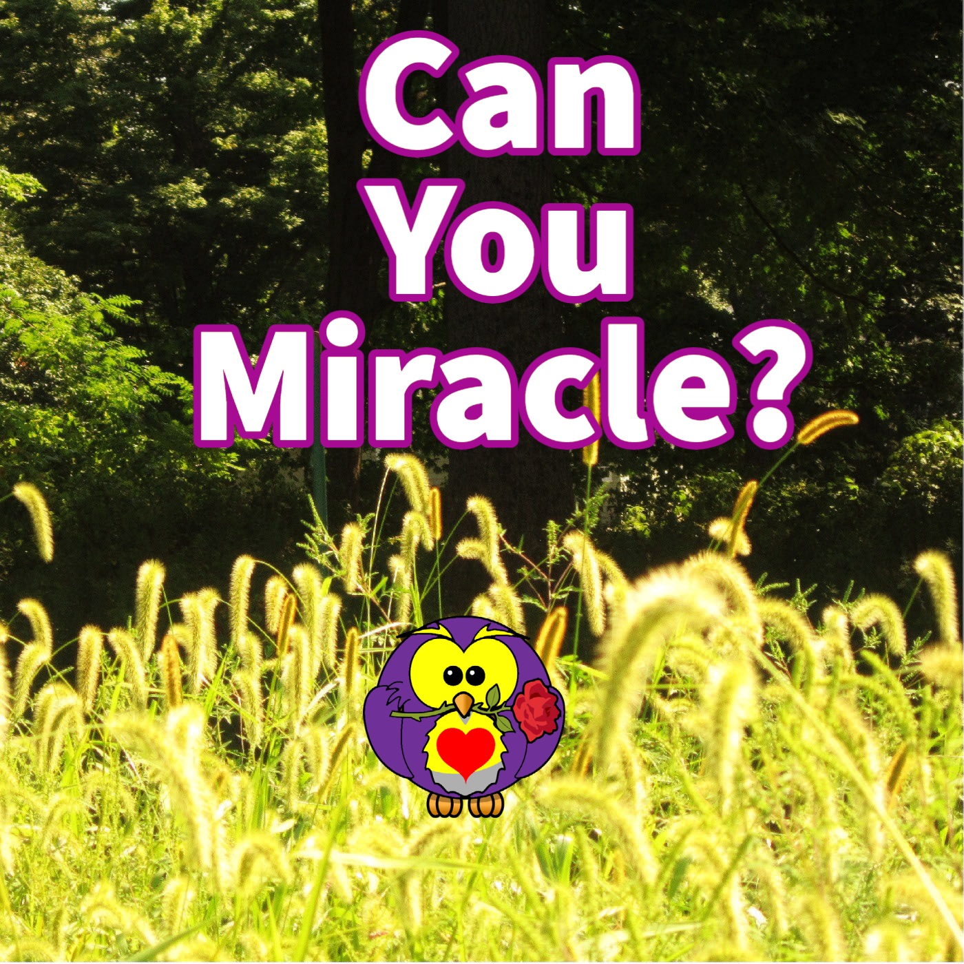 Can You Miracle?