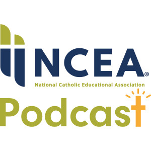 Navigating NCEA Rise from the Top-Down