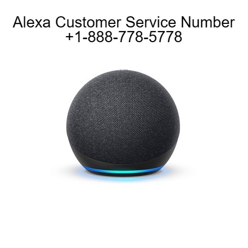 Alexa Customer Service Number