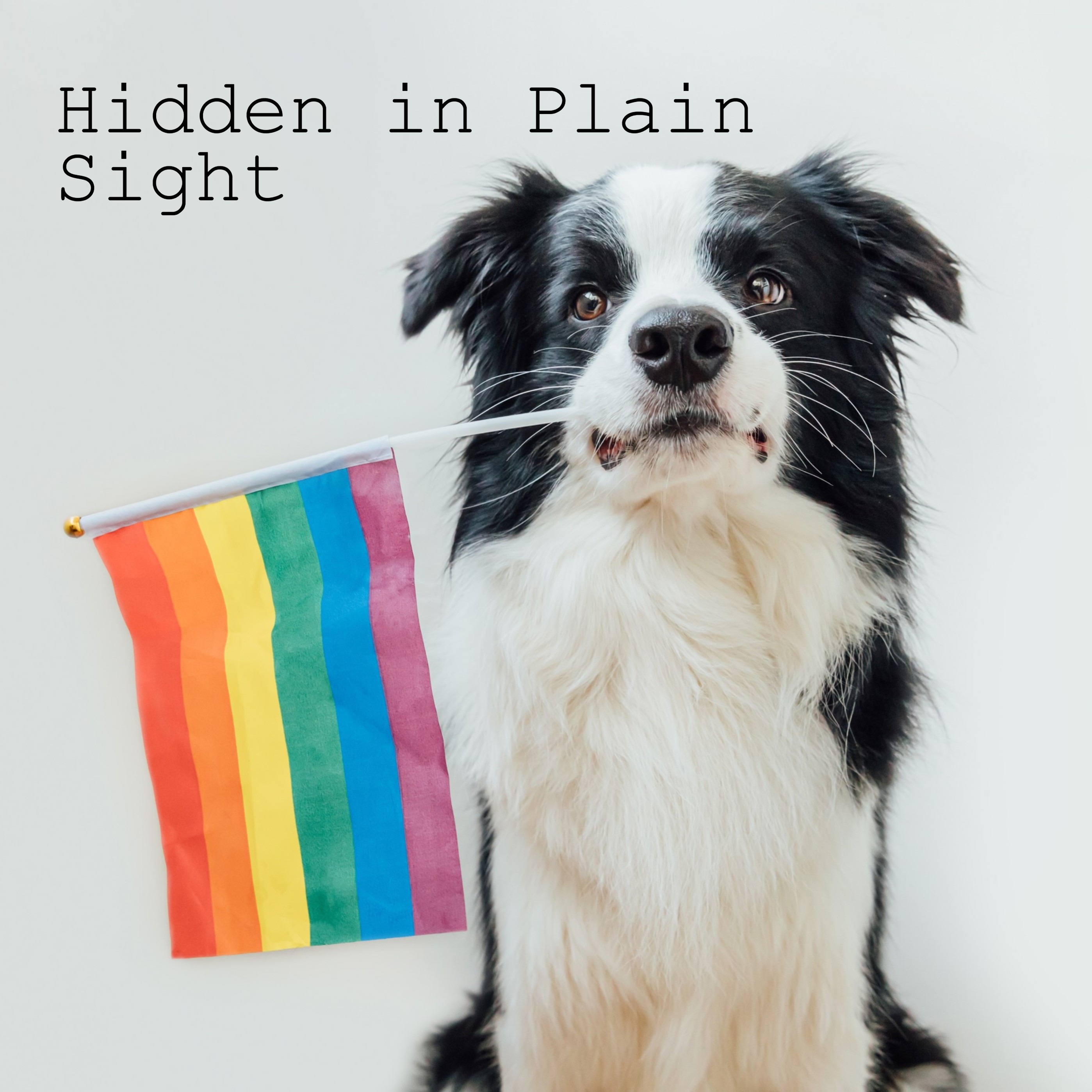 Hidden in Plain Sight