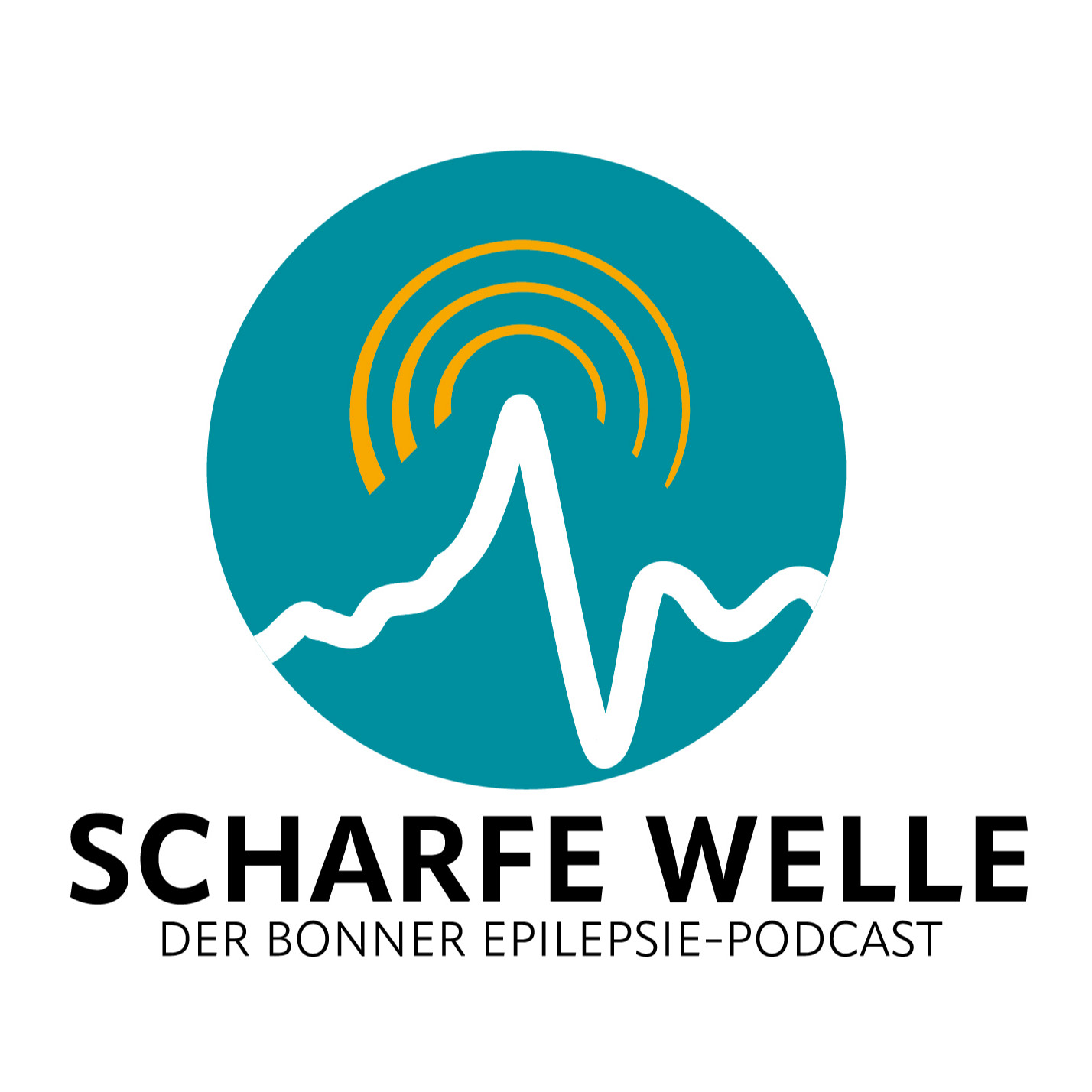 Folge 2: Therapieoptionen bei Epilepsie – SCHARFE WELLE - der Bonner ...