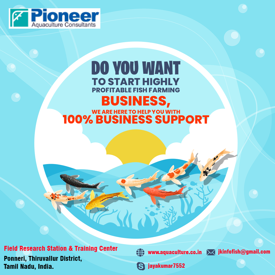 How to Start Fish Farm Business and Earn Money