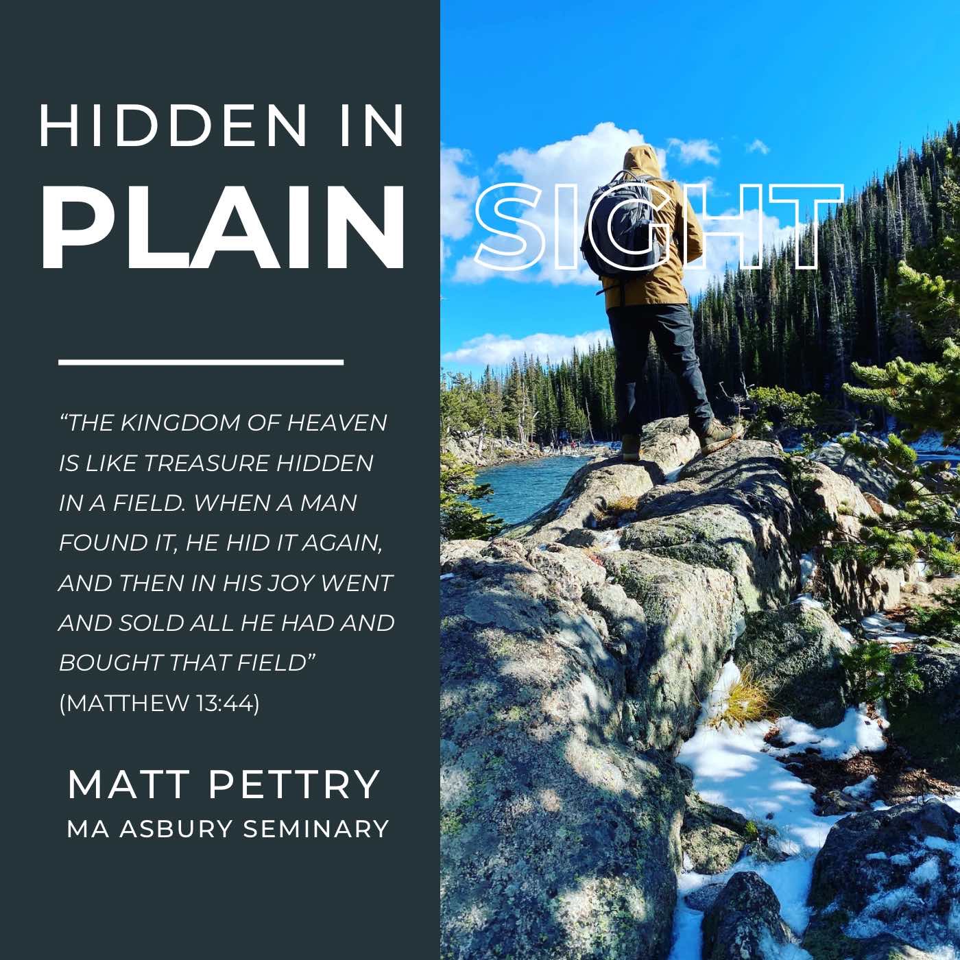 Hidden In Plain Sight podcast artwork