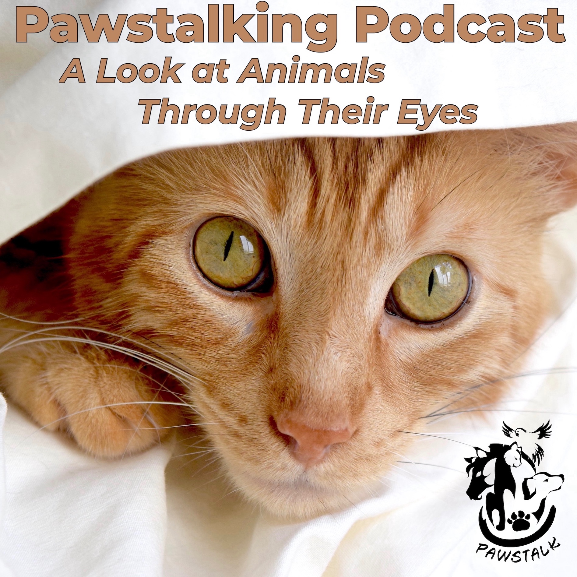 Pawstalking Podcast podcast artwork