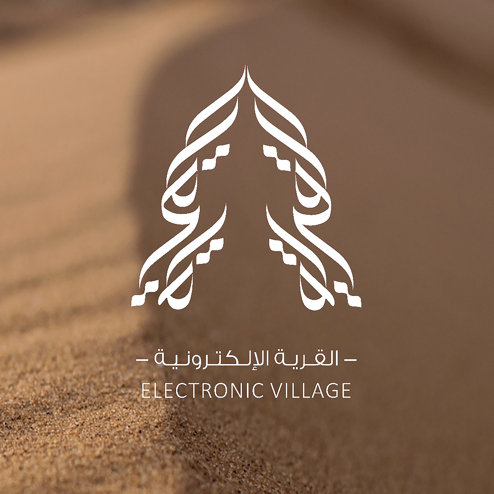 Electronic Village