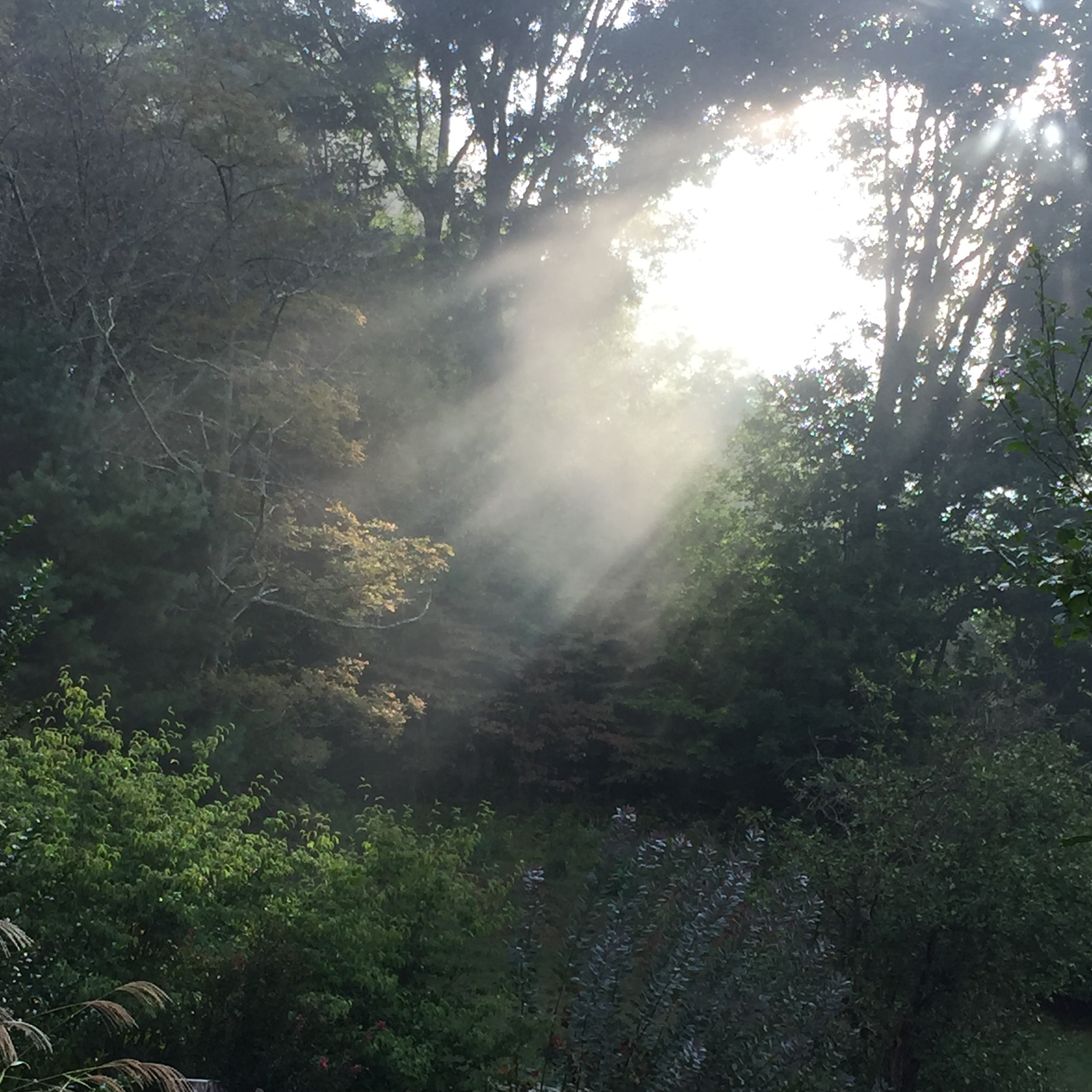 Be Your Own Healer with Jeannette Murray podcast artwork