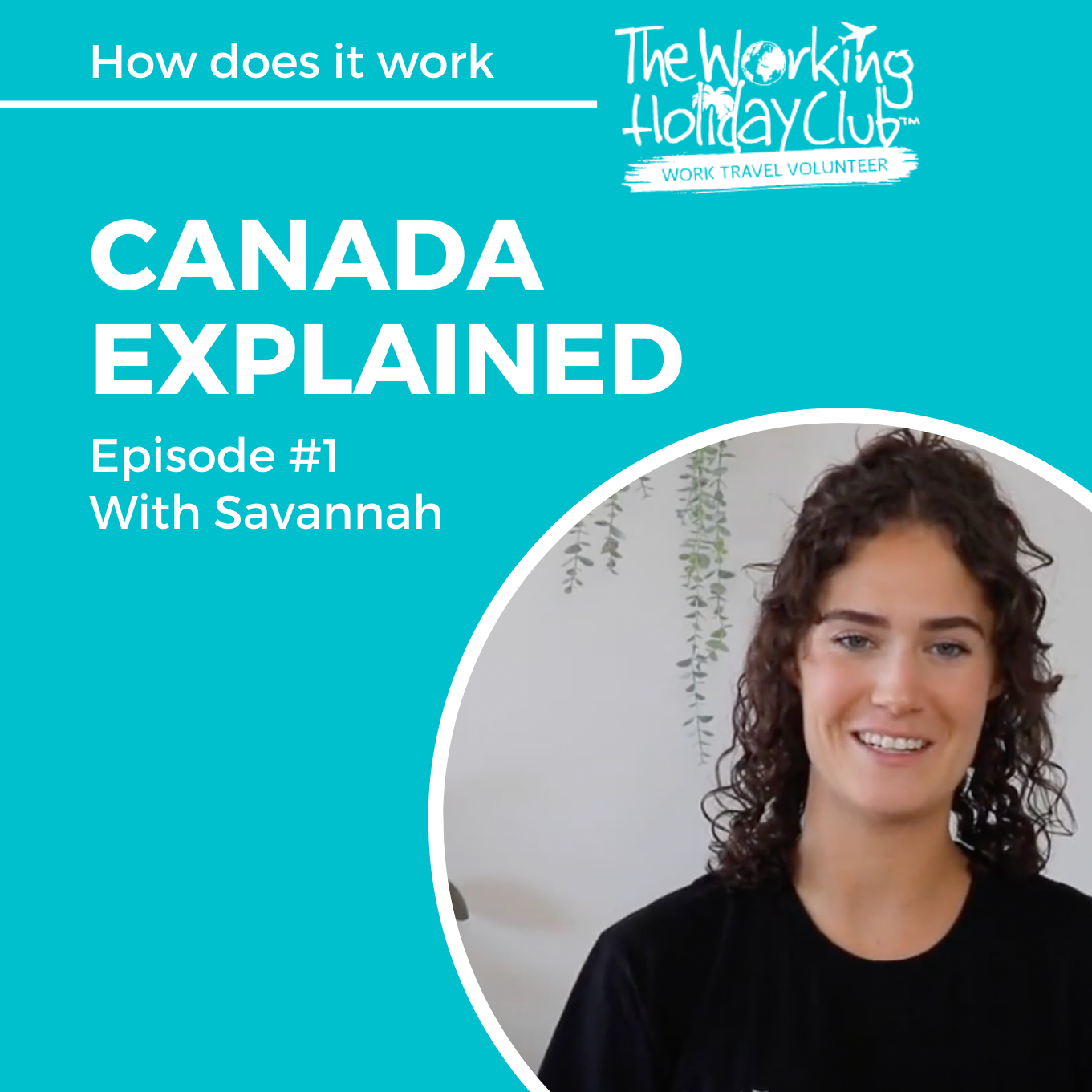 TWHC Canada’s Podcast podcast artwork