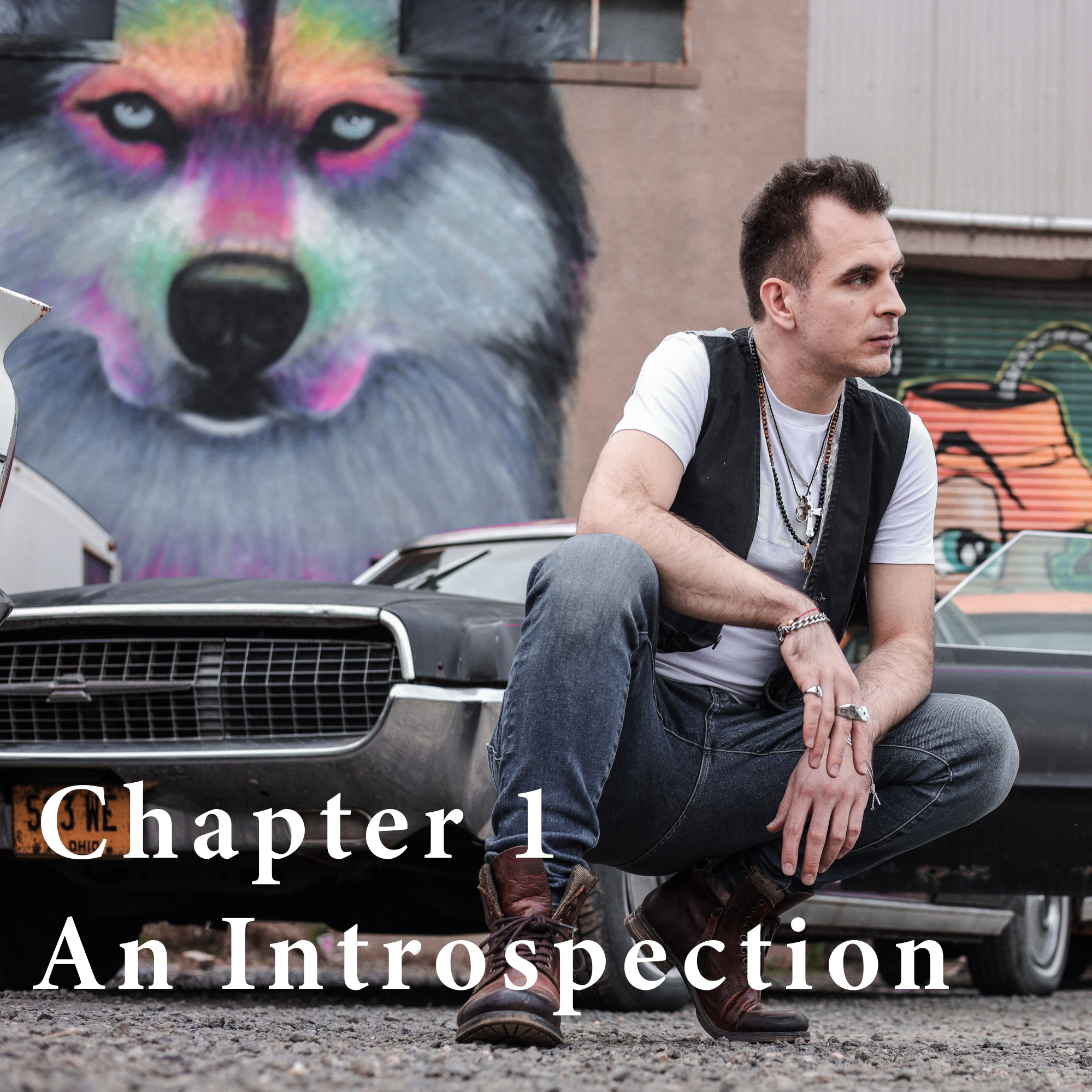 Chapter 1 - An Introspection