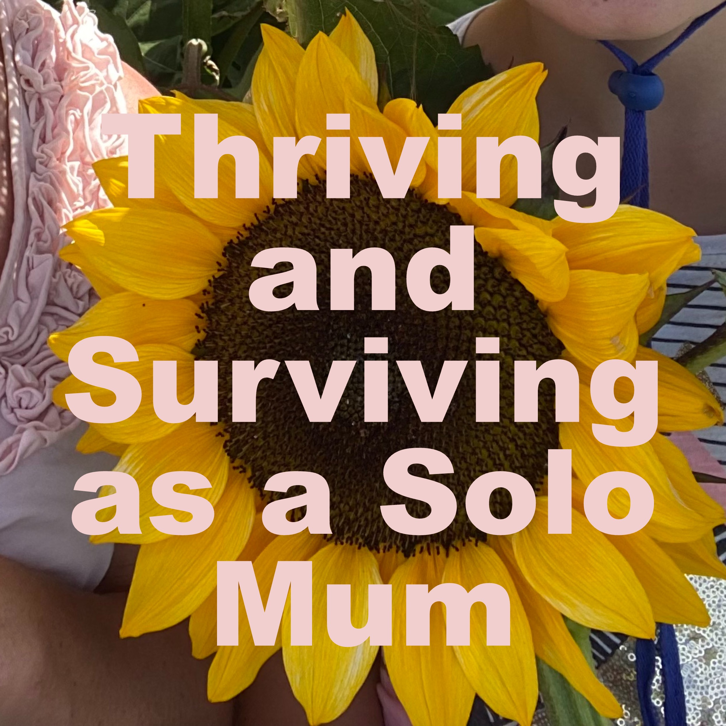 Thriving and Surviving as a Solo Mum